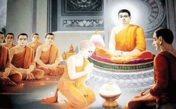 Cẩn trọng với lợi dưỡng